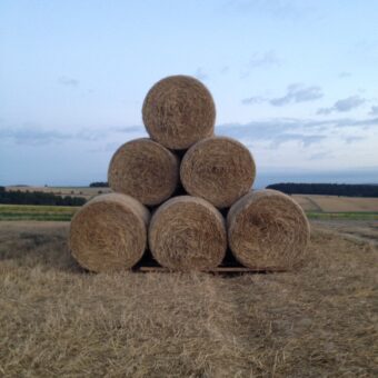 Strohballen auf dem Feld